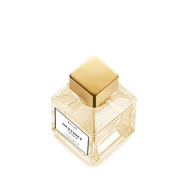 DESTINÉE (YSL Libre)